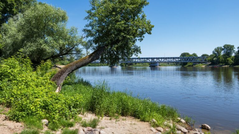WINDYKACJA MAZOWIECKIE